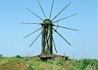 Mühle bei Santo Dominga de Garafia : Opuntien